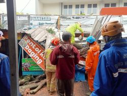 Akibat Angin Kencang, Rumah Rumah Mantan Kadinkes Kota Batu Tertimpa Pohon Tumbang