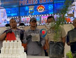 Eksperimen Tanam Ganja, Pria Alumni Lulusan Pertanian Diamankan Jajaran Satresnarkoba Polres Batu