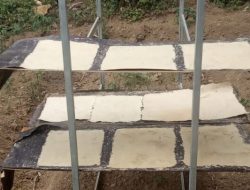 Sulap Limbah Kulit Jagung jadi Kertas Eco Friendly, Mahasiswa UMM Pamerkan Produknya Dalam Ajang Expo KMI di Bali