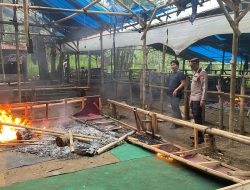 Arena Sabung Ayam di Gedangan DI Bongkar Aparat Kepolisian