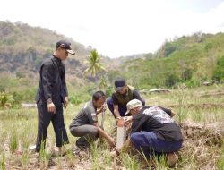 Pasang Tanda Batas Tanah Anda Agar Terhindar dari Sengketa Pertanahan