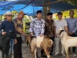 Momen Idul Adha 1446 H, Dirut Tugu Tirta Serahkan Puluhan Hewan Kurban Untuk Warga hingga Lapas Perempuan