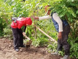 DPC PDI Perjuangan Kota Malang Rayakan Ulang Tahun ke 79 Megawati Sukarno Putri Dengan Penanaman Ribuan Pohon