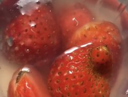 Orang Tua Siswa di Lowokwaru Resah, Ditemukan Belatung di Menu MBG Jenis Puding Stroberi