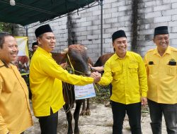 Idul Adha 2026, DPD Golkar Kota Malang Sembelih 4 Ekor Sapi dan 5 Kambing