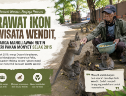 Aksi Nyata Warga Mangliawan, Monyet Ikon Wisata Wendit Terus Dirawat Secara Swadaya